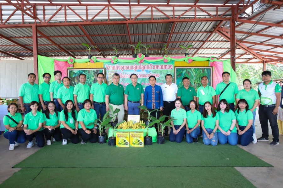 เยี่ยมชมงานวิสาหกิจชุมชนปลูกกล้วยหอมทอง จ.ชัยภูมิ